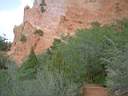 DSCF0037.JPG